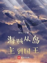 《海贼从岛主到国王》小说封面