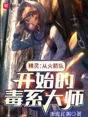 《精灵：从火箭队开始的毒系大师》小说封面