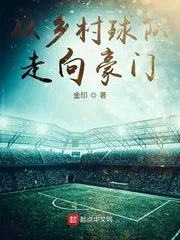 《从乡村球队走向豪门》小说封面