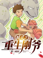 《精灵之重生刚爷》小说封面