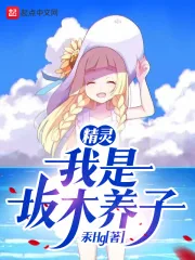 《精灵：我是坂木养子》小说封面