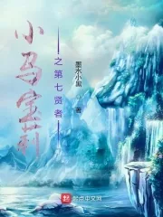 《小马宝莉之第七贤者》小说封面