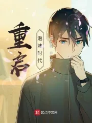 《重启泡沫时代》小说封面