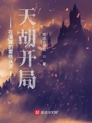 《在漫威的霍格沃茨天胡开局》小说封面