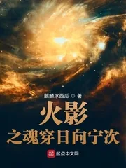 《火影之魂穿日向宁次》小说封面