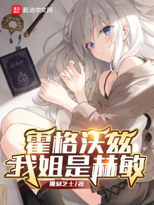 《霍格沃兹,我姐是赫敏》小说封面