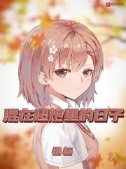 《混在超炮里的日子》小说封面