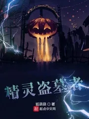 《精灵盗墓者》小说封面