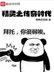 《精灵之传奇时代》小说封面