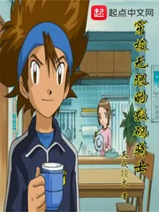《穿梭无限的数码骑士》小说封面