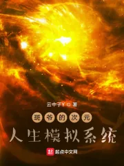 《斑爷的次元人生模拟系统》小说封面