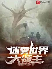 《迷雾世界大领主》小说封面