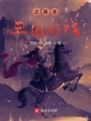 《这真是三国游戏》小说封面