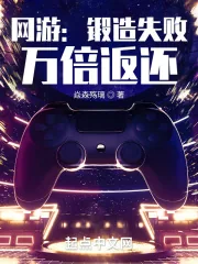 《网游：锻造失败，万倍返还》小说封面