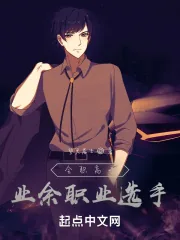 《全职高手：业余职业选手》小说封面