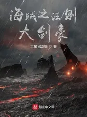《海贼之法则大剑豪》小说封面