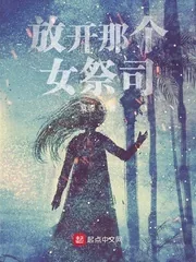 《放开那个女祭司》小说封面