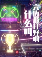 《什么叫六边形打野啊》小说封面