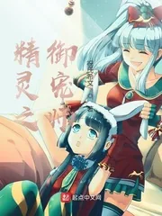 《精灵之御宠师》小说封面