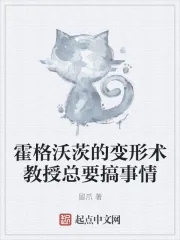 《霍格沃茨的变形术教授总要搞事情》小说封面