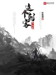 《这个刺客有毛病》小说封面