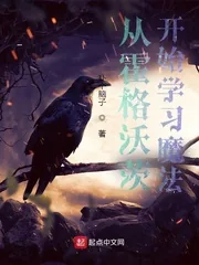 《从霍格沃茨开始学习魔法》小说封面