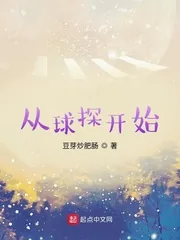 《从球探开始》小说封面