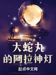 《大蛇丸的阿拉神灯》小说封面