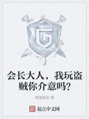 《会长大人，我玩盗贼你介意吗？》小说封面