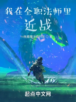 《我在全职法师里近战》小说封面