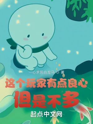 《这个玩家有点良心，但是不多》小说封面