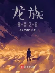 《龙族：重启人生》小说封面