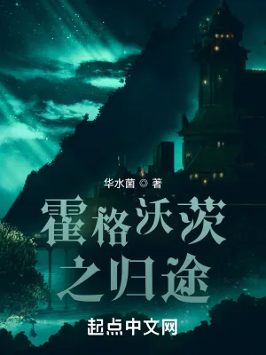 《霍格沃茨之归途》小说封面