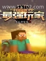 《我的世界》小说封面