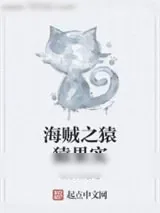 《海贼之猿猿果实》小说封面