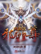 《网游之邪圣皇尊》小说封面
