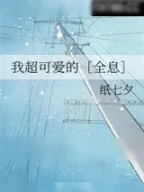 《我超可爱的［全息］》小说封面
