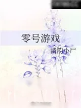 《零号游戏》小说封面