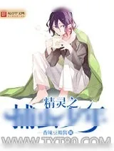 《精灵之捕虫少年》小说封面