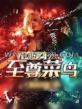 《网游之至尊菜鸟》小说封面