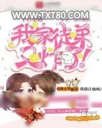 《王者荣耀：我家徒弟又炸了！》小说封面