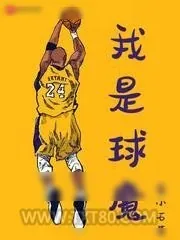 《我是球魔》小说封面