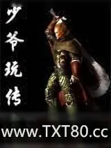《少爷玩传奇》小说封面