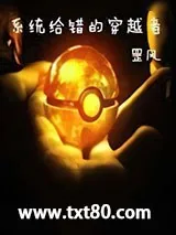 《系统给错的穿越者》小说封面