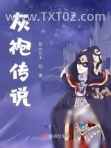 《灰袍》小说封面