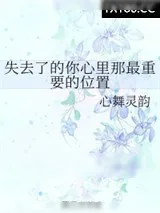 《失去了的你心里那最重要的位置》小说封面