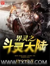 《界灵之斗灵大陆》小说封面