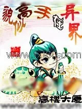 《貌似高手在异界》小说封面