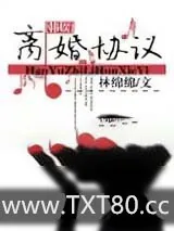 《离婚协议》小说封面