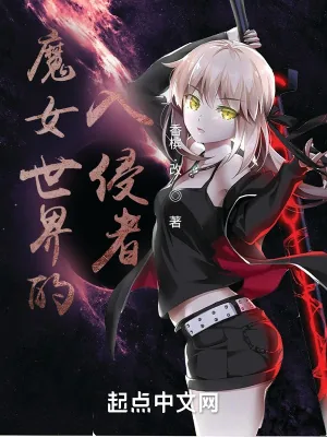 《魔女世界的入侵者》小说封面